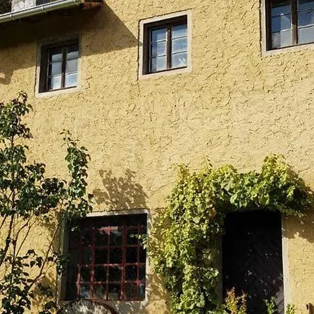 Near With Terrace Kaifenheim