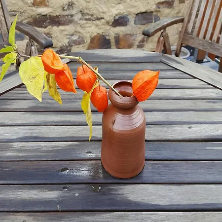 Appartement Gemuetliche In *