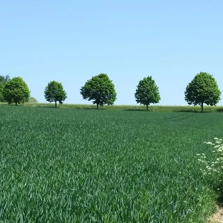 Gemuetliche In Appartement *