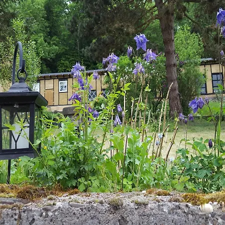 Appartement Gemuetliche In *