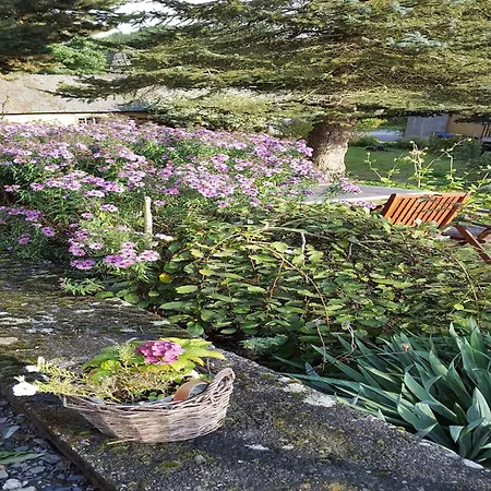 Appartement Gemuetliche In Kaifenheim