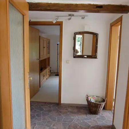 Apartment Near With Terrace
