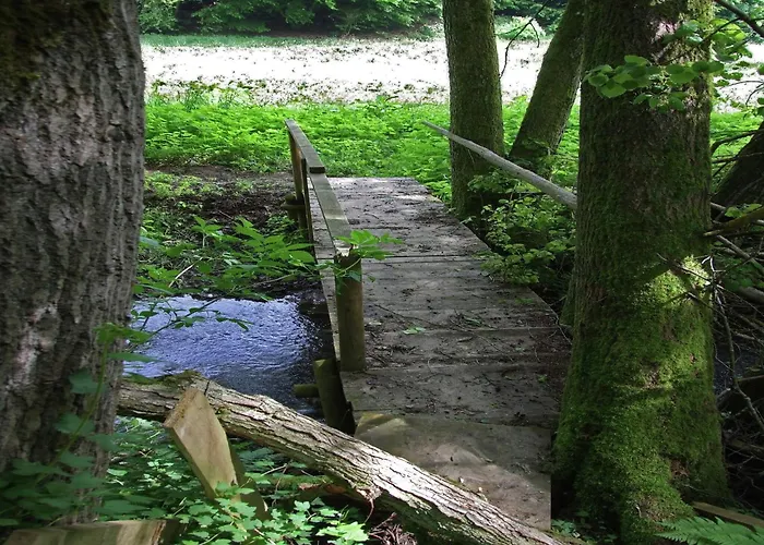 Gemuetliche In Kaifenheim