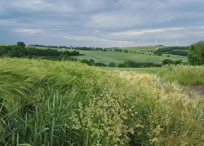 Gemuetliche In Apartamento