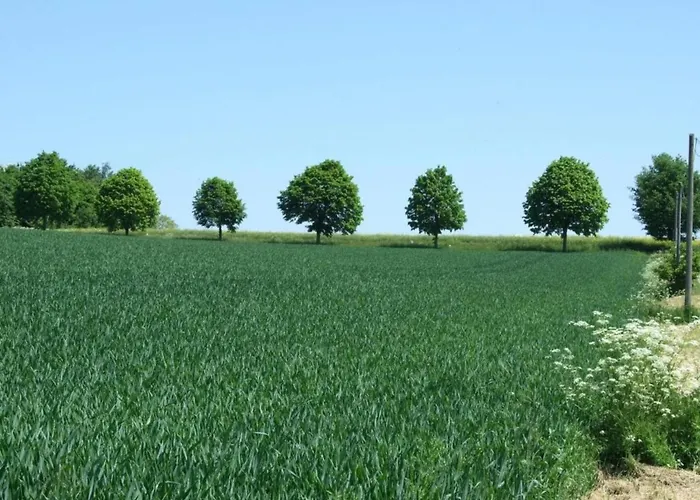 Gemuetliche In Apartamento *