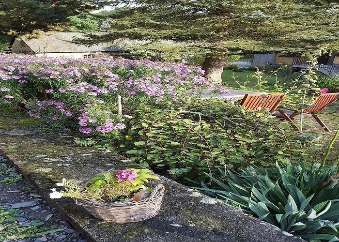 Apartamento Gemuetliche In Kaifenheim